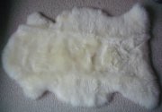 Sheep skin