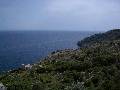 28. Runis