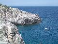 32. Sunbathing on the rocks